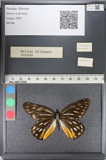 Media type: image;   Entomology 128298